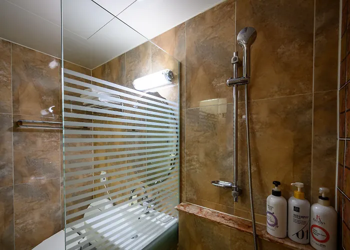 Daeyoung Myeongdong Hotel 3*